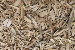 biomass boilers Ocraquoy
